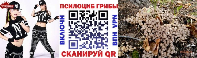 Купить где  Арамиль  Псилоцибиновые грибы Magic Shrooms 